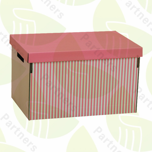 P07-02 Carboard storage box